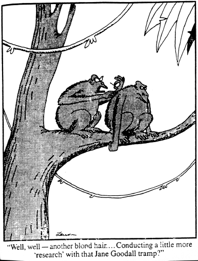 This will always be my favorite anthropology related Far Side